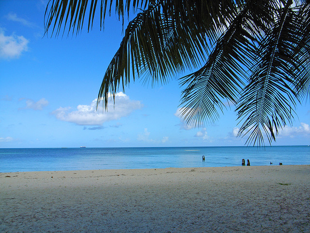 Picture of Palikir - National Government Center, Micronesia